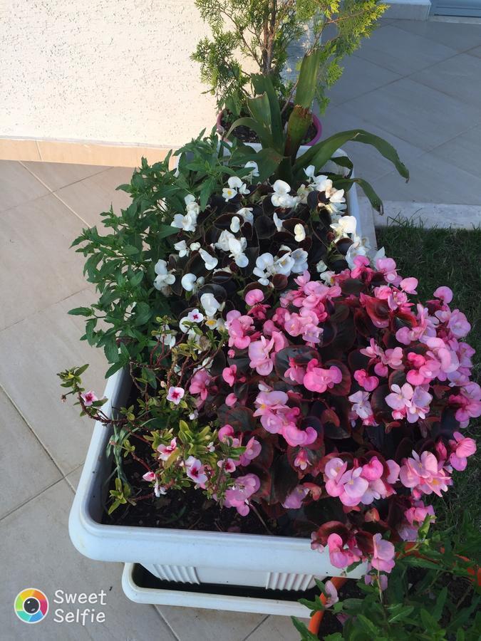 דירות קסאמיל Sunset House מראה חיצוני תמונה